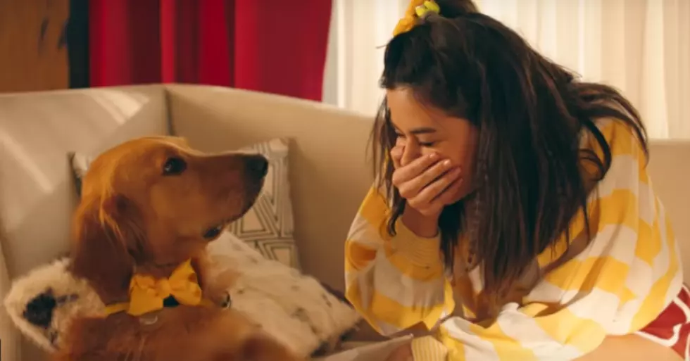 Bastille + Marshmello’s ‘Happier’ Video Just Ruined My Day