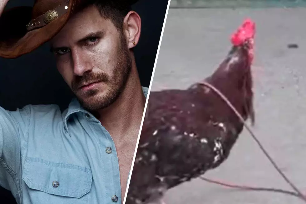 Cowboys Be Cowboys: Fun ‘Chicken Roping’ Event in Wyoming Is a Must